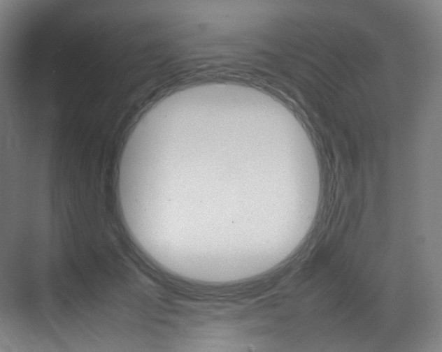 X0000075360701200609080839
