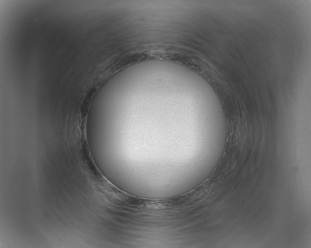 X0000075360702200609080839
