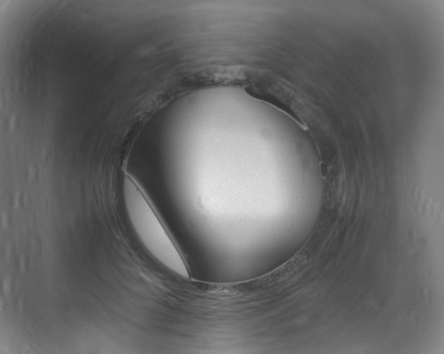 X0000075360704200609080839