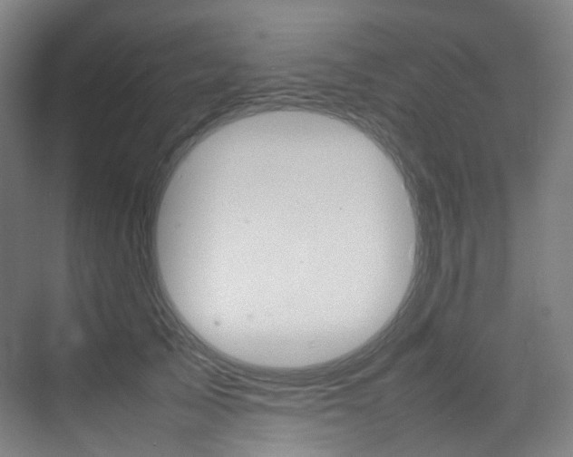 X0000075360705200609080839