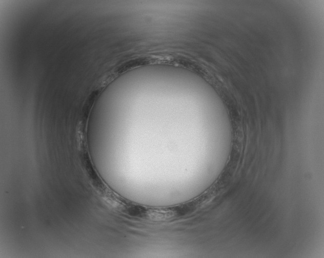 X0000075360707200609080839