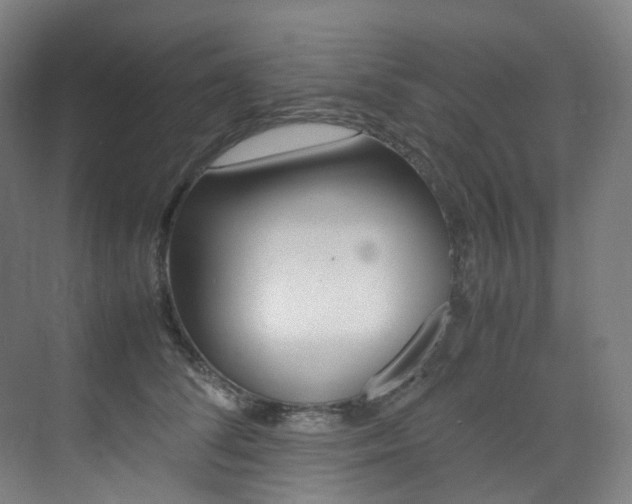 X0000075360708200609080839