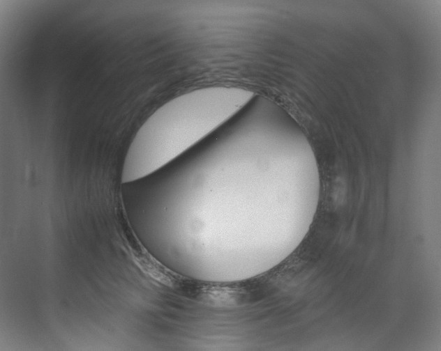 X0000075360710200609080839