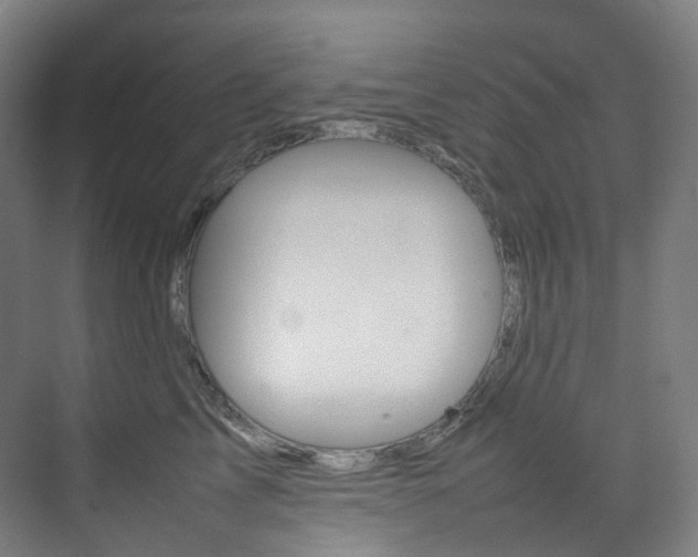 X0000075360713200609080838