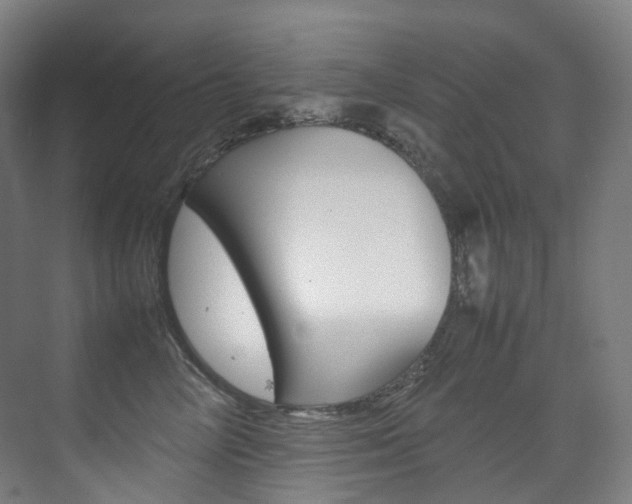 X0000075360714200609080838