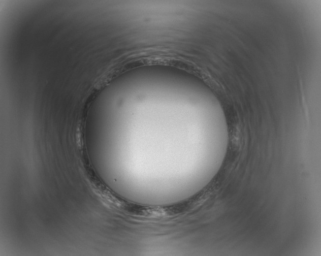 X0000075360715200609080838