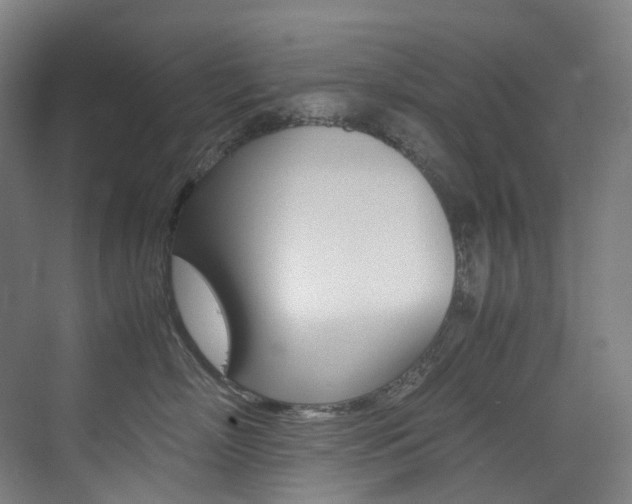 X0000075360718200609080838
