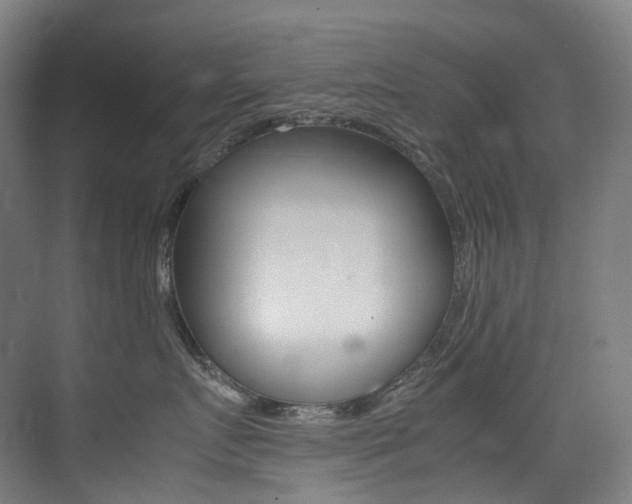 X0000075360719200609080838