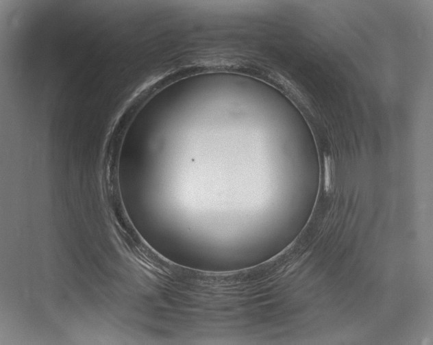 X0000075360723200609080838