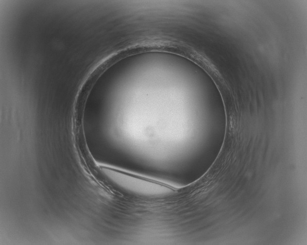 X0000075360724200609080838