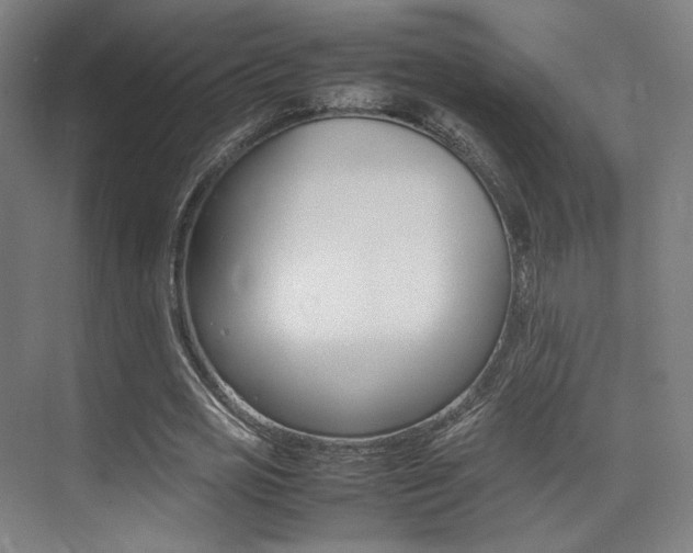 X0000075360725200609080838