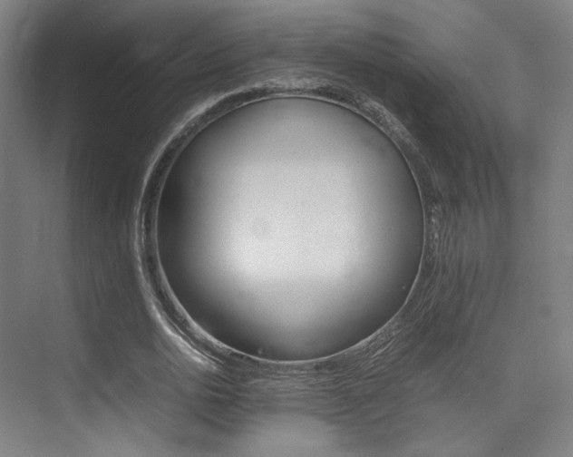 X0000075360726200609080838
