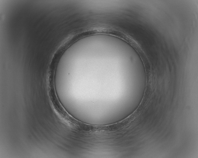 X0000075360730200609080838