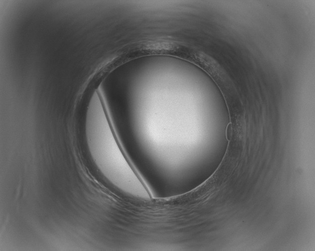X0000075360731200609080838
