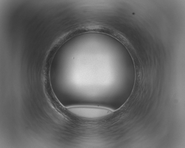 X0000075360732200609080838
