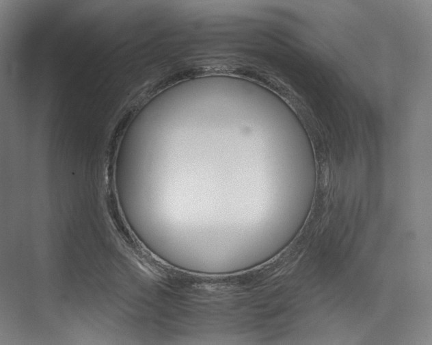 X0000075360733200609080838