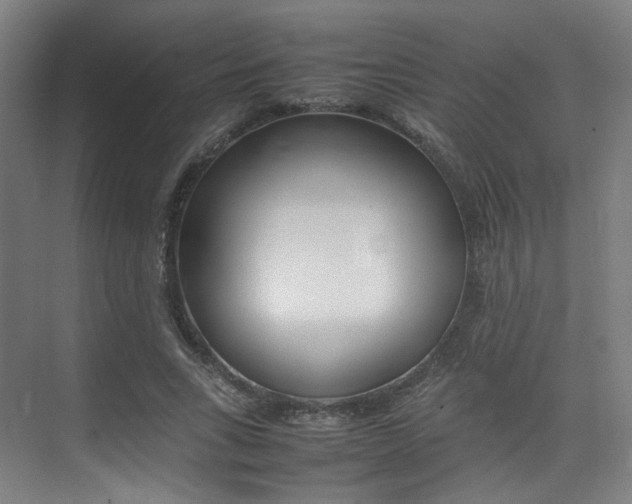 X0000075360735200609080838