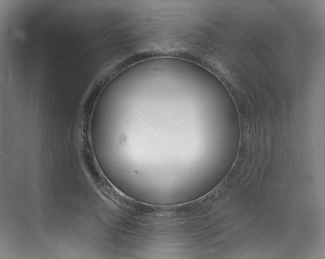 X0000075360736200609080838