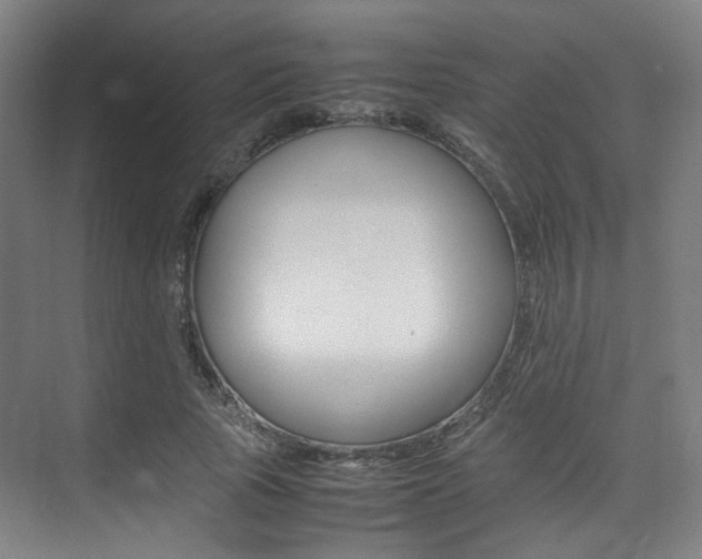 X0000075360737200609080838