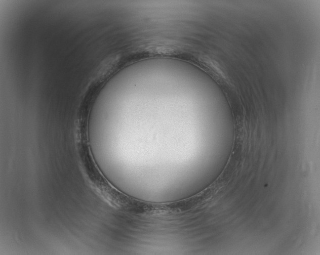 X0000075360738200609080838