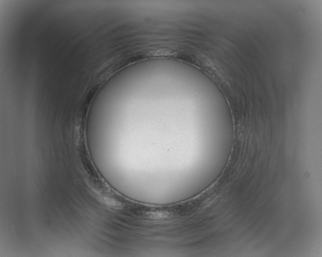 X0000075360741200609080838
