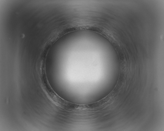 X0000075360742200609080838