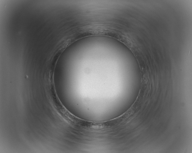 X0000075360744200609080838
