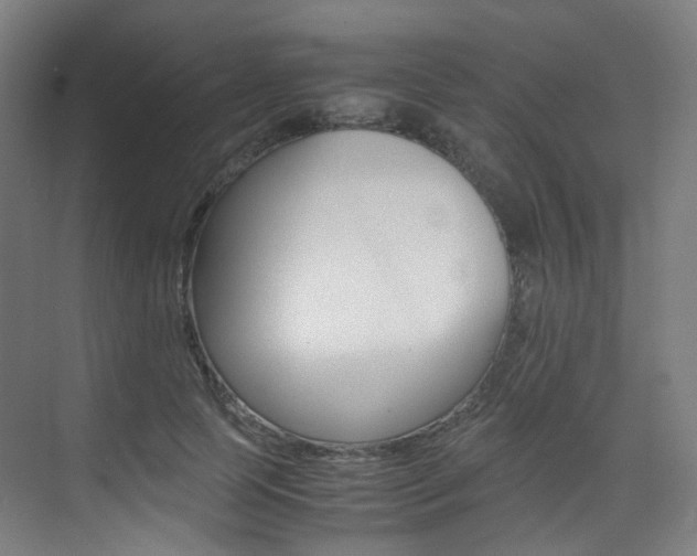 X0000075360745200609080838
