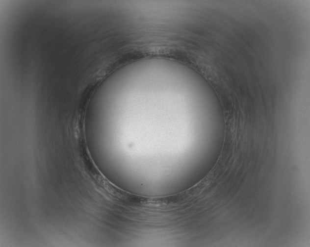 X0000075360746200609080838