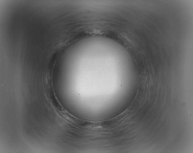 X0000075360747200609080838