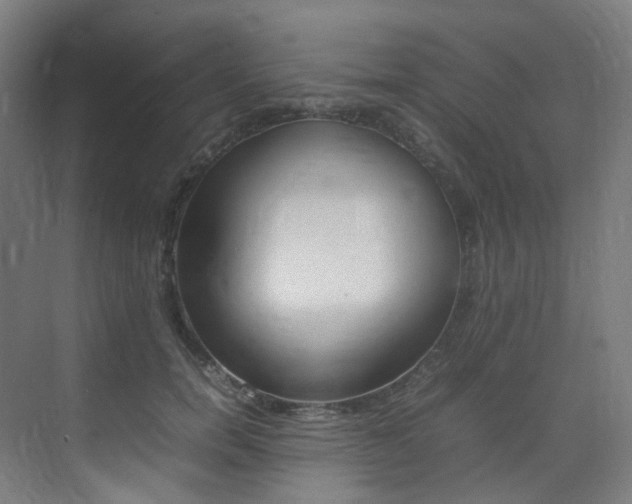 X0000075360750200609080838