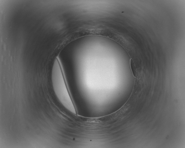 X0000075360752200609080838