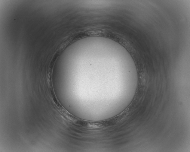 X0000075360753200609080838