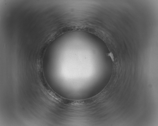 X0000075360756200609080838