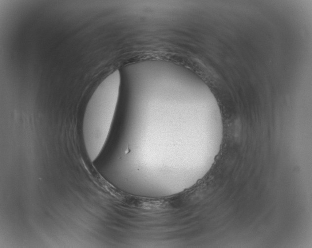 X0000075360757200609080838