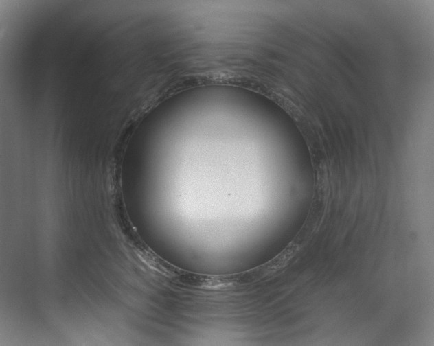 X0000075360760200609080838