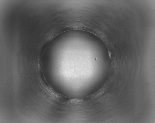 X0000075360762200609080838