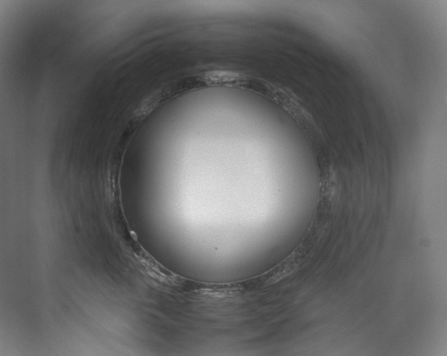 X0000075360763200609080838
