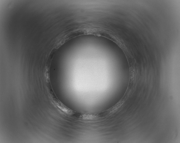 X0000075360766200609080838