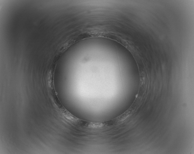 X0000075360767200609080838