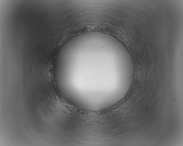 X0000075360770200609080838