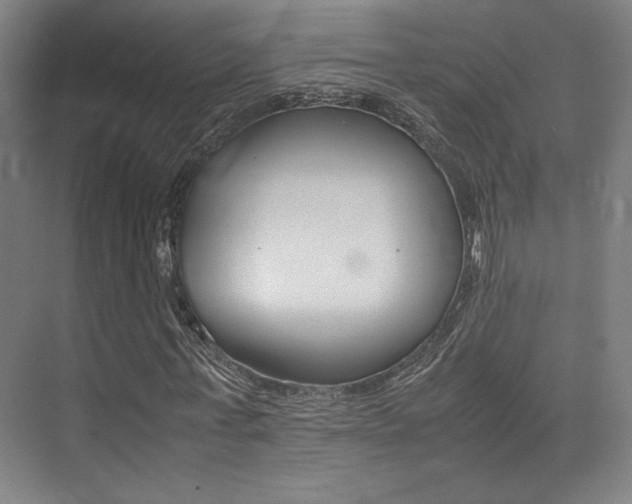 X0000075360771200609080838