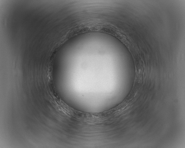 X0000075360772200609080837