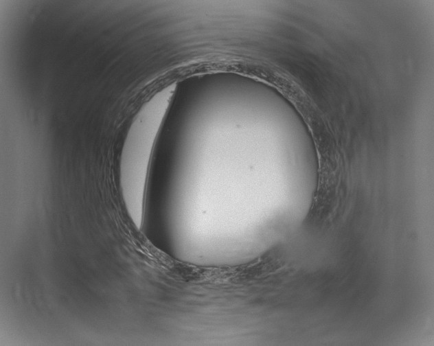 X0000075360773200609080837