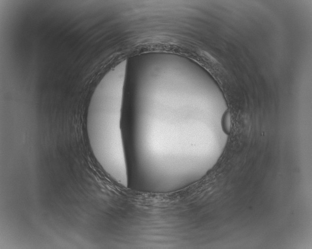 X0000075360774200609080837