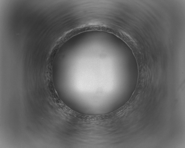 X0000075360776200609080837