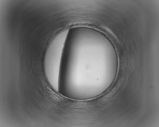 X0000075360777200609080837