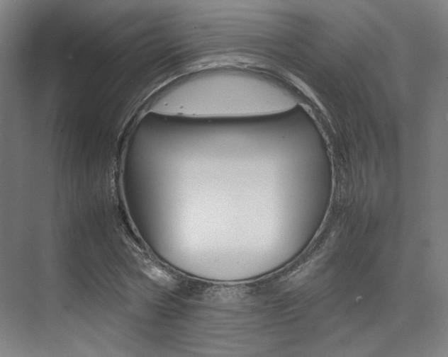 X0000075360778200609080837