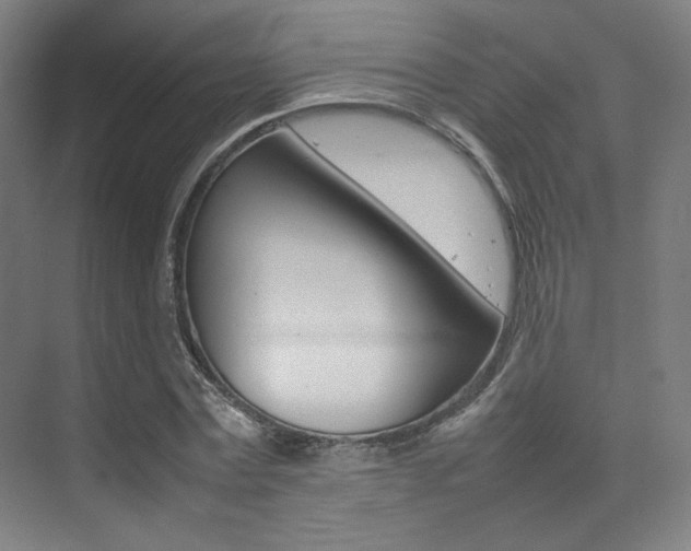 X0000075360779200609080837