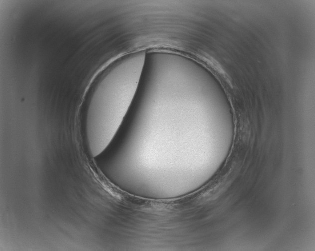 X0000075360782200609080837